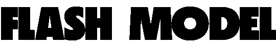 Flash Model