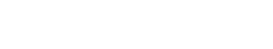 Flash Model
